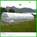 greenhouse plastic film roll /agriculture plastic film for greenhouse